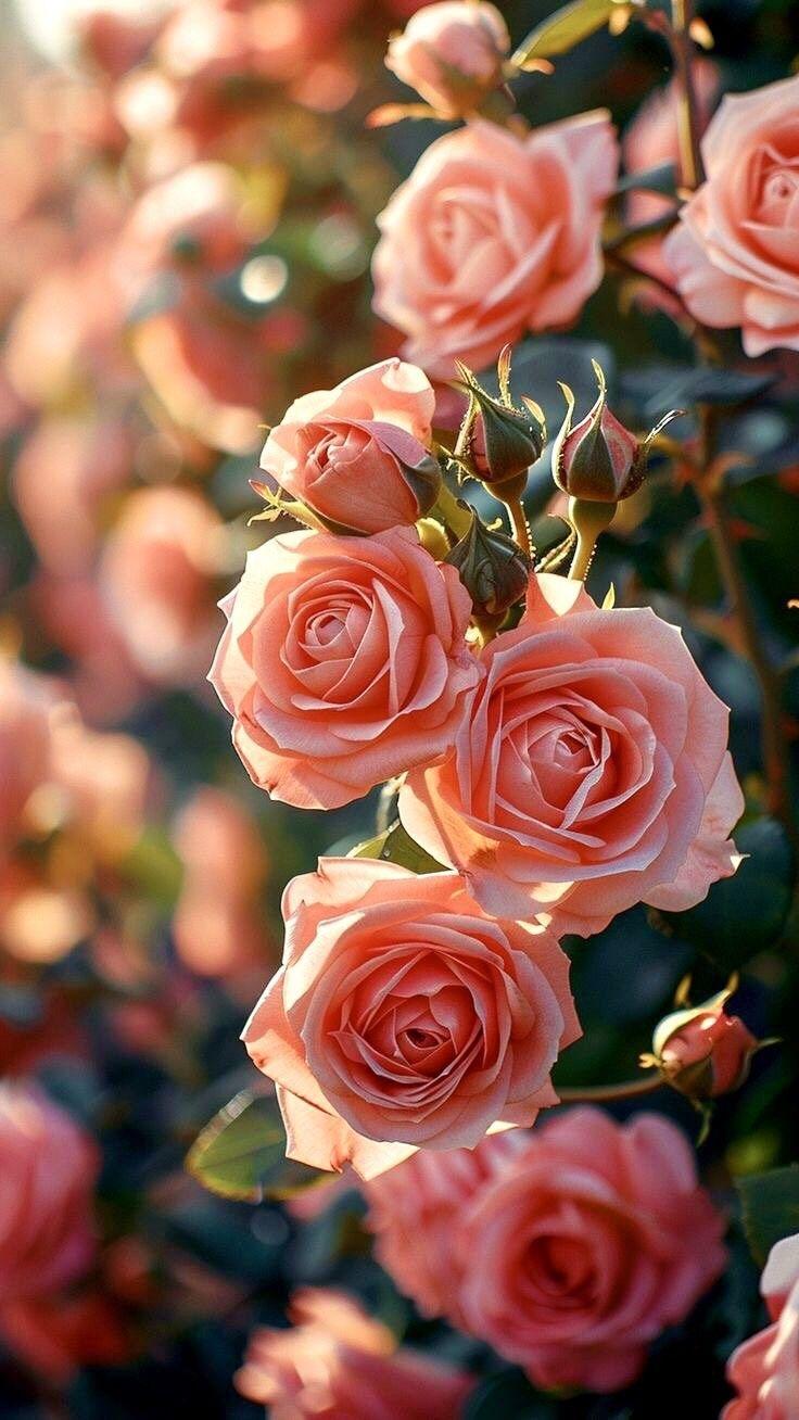 Light Thread Timber workshop space where corporate flower arrangements are designed and prepared for business delivery